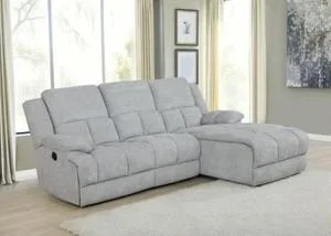 3 PC Motion Sectional
