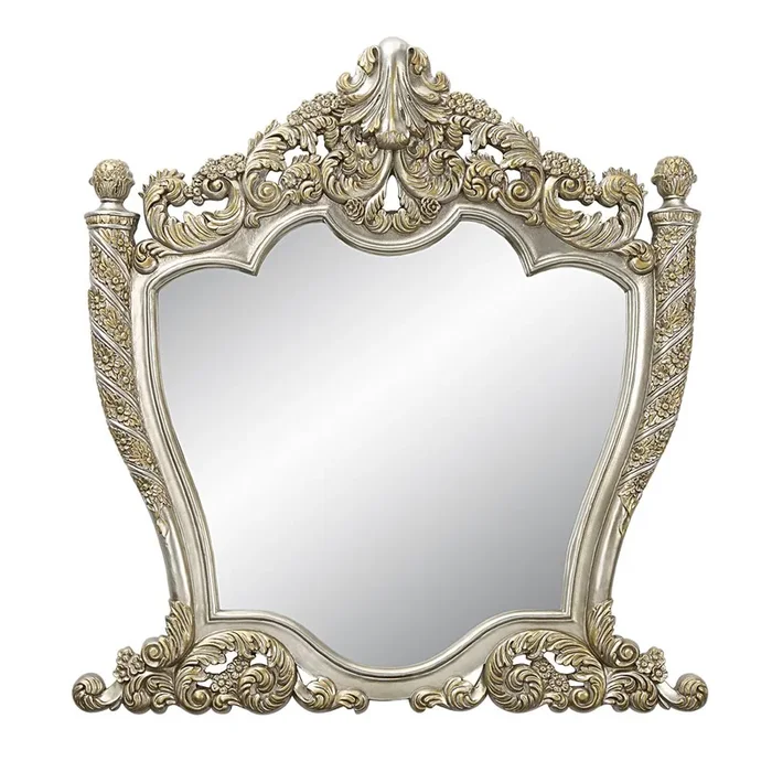 ACME Danae Champagne & Gold Finish Mirror Model BD01236