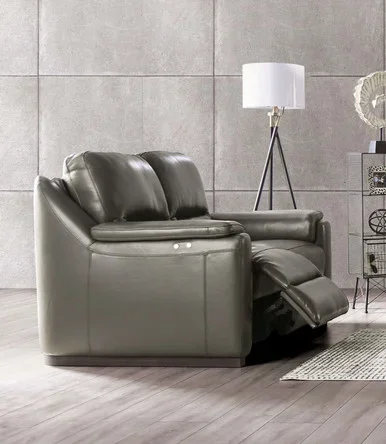 ALTAMURA Power Loveseat, Gray / FM90002GY-LV-PM-PK