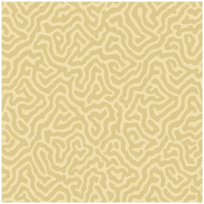 Coral – Ochre