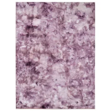 FAMALICA 5′ X 7′ Area Rug / RG5136