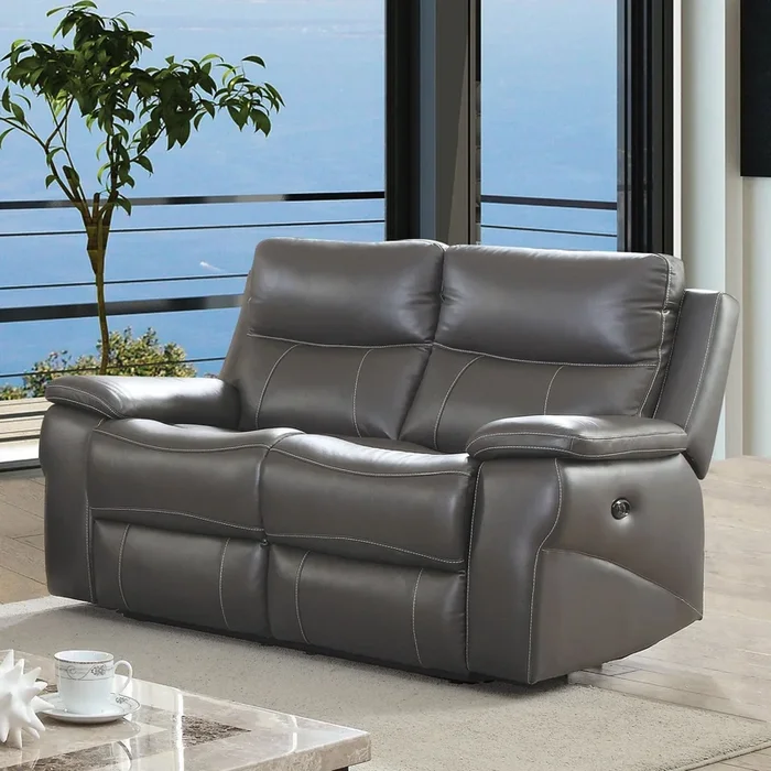 Furniture Of America Lila Gray Transitional Power-Assist Loveseat Model CM6540-LV-PM