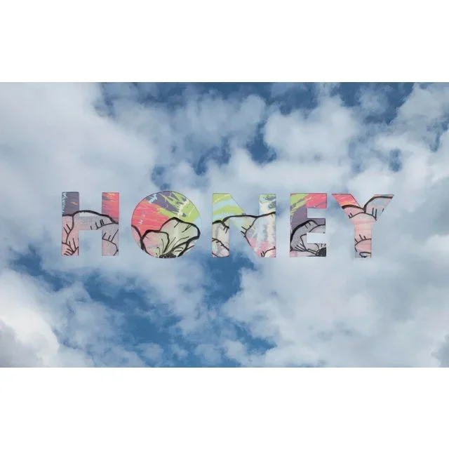Honey (Hirst) by Emily Hoerdemann, One Word Poems Collage Series