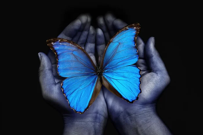 IMRAN Butterfly in Hands Glass Wall Art
