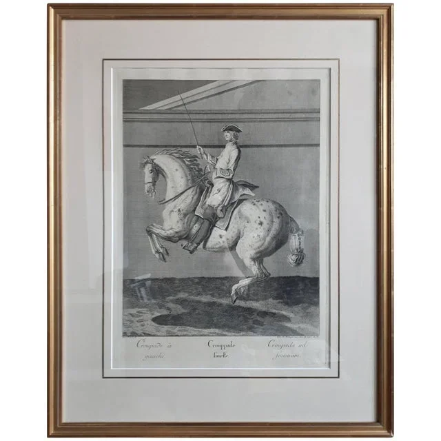 J. E. Ridinger, Horse Print Croupade, 1750, Paper, Framed