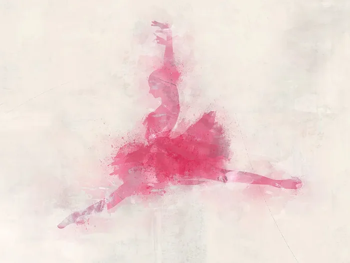 Pink Ballerina I — 24″ x 18″ 52GCJJ0079 by Old Brick Art at Old Brick Furniture & Mattress Co.