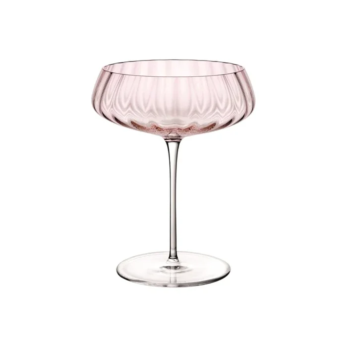 Round Up Coupe Glass (Set of 2)