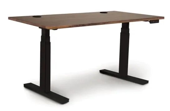 Solid Walnut Wood Invigo Sit Stand Desk with Black Base & Dual Power Motor