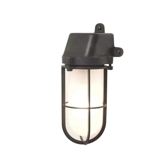 Weatherproof Ships Well Glass Wall Light 2
